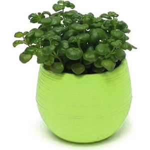 Leuke Resin Afneembare Vetplanten Bloempot Schotel Lade Planter Home Desk Tuin Decor