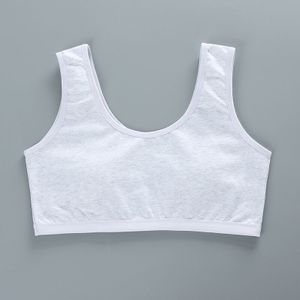 4 Stks/partij Tienermeisjes Training Bh Jong Meisje Beha Ondergoed Effen Katoen Brief Print Ondergoed Voor Kinderen Kids Brasserie