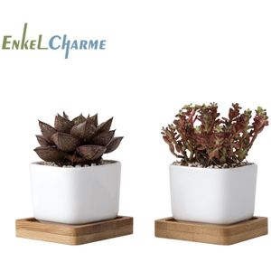 2 Stuks Geometic Witte Keramische Vierkante Bonsai Planter Little Succulent Bloempotten Moderne Kleine Cactus Bloempot Bamboe Lade