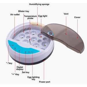 7 Mini Brooder Chicken Bird Incubator Eggs Hatching Automatic Intelligent Brooder Cheap Price Chicken Automatic Eggs Incubator