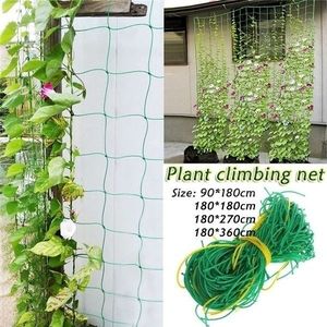 1 Pc Tuin Groene Groente Plant Trellis Netting Ondersteuning Netten Bean Plant Klimmen Groeien Hek