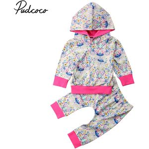 Herfst Peuter Baby Meisje Jongen Kleding 2 stks Lange Mouwen Hooded Sweatshirt Tops + Broek Kleurrijke Bloemen outfit 0-18 m