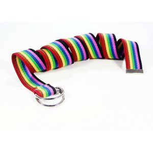 Trendy Regenboog Kleuren Prachtige Taille Riem Voor Vrouwen Lady Pretty Canvas Dunne Skinny Riem Krijtstreep