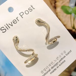 Sieraden Snake Klimmers Oorbellen Beste Girf Voor Meisje