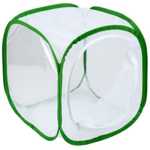 Insect En Vlinder Habitat Kooi Terrarium-Up 12X12X12 Inch (Wit + Groen)