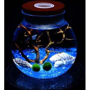 11 CM Ronde Glazen Fles Jar Terrarium Met LED Licht Kurk Micro Landschap Ecologische Fles Tafelblad Vaas Zeewier Bal Fles