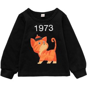 Autumn Leisure Sweatshirt Baby Boys Cotton Warm Long Sleeve O-neck Korean Lovely Cartoon Print Spring Clothes