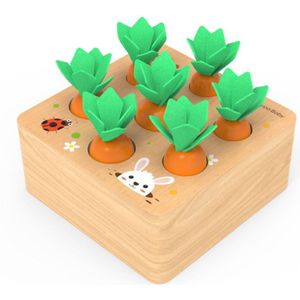Natuurlijke Grenen Hout Educatief Speelgoed Wortelen Vorm Oogst Sorteren Spel Vorm Cognitieve Vaardigheid Leren Speelgoed Voor 1-3 Jaar peuters
