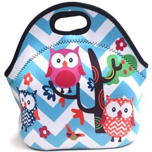 Neopreen Lunch Tas Voor Vrouwen Uil Patroon Lunch Tassen Picknick Handtas met Servies Pocket Kinderen Snacks voor Vrouwen Kids