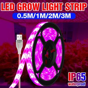 Usb Phytolamp Voor Bloem Planten Groeien Licht Strip Waterdicht Phyto Lamp 0.5M 1M 2M 3M Hydrocultuur kas Groei Led Fitolampy