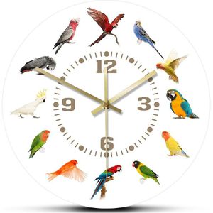 Vogels Rassen Collectie Moderne Wandklok Non Tikkende Muur Horloge Papegaai Vogel Huisdier Soorten Exotische Wall Art Vogel Liefhebbers Thuis decor