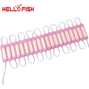 Hello Vis 20Pcs DC12V Cob Led Modules 7020 Reclame Modules Lichtgevende Tekens, Backlight Modules IP65 Waterdicht