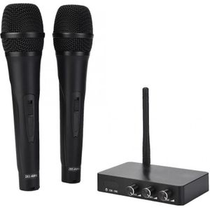 Handheld Mini Home Ktv Draadloze Wifi Karaoke Machine Met Twee Dynamische Microfoon Ondersteuning Reverb Aanpassing 50Hz-17Khz
