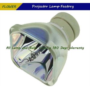 DT01021 Projector Blote Lamp Voor Hitachi CP-X2510Z/CP-X2511/CP-X2511N/CP-X2514WN/CP-X3010/CP-X3010N/CP-X3010Z/CP-X3011/CP-X3011N