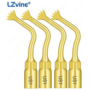 Tandheelkundige Ultrasone Scaler Botchirurgie Tip US1 Compatibel Met Specht Ultra-Chirurgie Mectron Piezosurgery Instrumenten