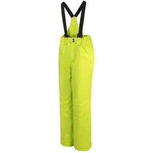 Twtopse Vrouwen Waterdichte Snowboarden Broek Winter Winddicht Warm Sport Skiën Sneeuw Broek Thermische Wandelen Skate Broek