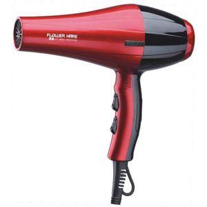Fabriek Directe Verkoop Haardroger 2800W Constante Temperatuur Rustige Föhn 8800