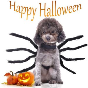 Halloween Huisdier Zwarte Spider Kleding Festival Decoratie Voor Honden En Katten Black Party Dress Up Simulatie Pluche Spider Kostuums