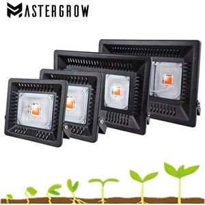 Volledige Spectrum LED Grow Light Waterdicht IP67 50W 100W 200W 300W COB Groei Flood Licht voor plant Indoor Hydrocultuur Kas