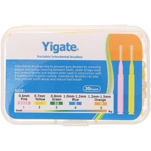 30 Stuks Tandenstokers Rager Tandenstokers Picks Borstel Picks Reiniging Borstels