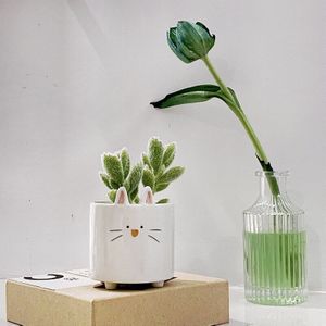 Vetplanten Bloempot Keramische Kleine Bloempot Dier Mini Tuin Plant Pot Home Decoratie Planter Plant Bloem Pot