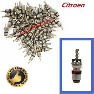 , (100 Stuks) Airconditioning Lading Koude Medium Interface Ventiel Voor Citroen