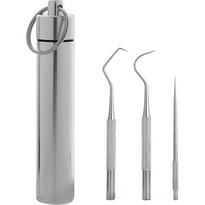 3Pcs Rvs Fruit Camping Lichtgewicht Tandenstoker Set Catering Stok Milieuvriendelijke Residu Schoon Orale Outdoor Huishouden