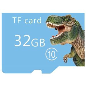 Dinosaurus Micro Sd Geheugenkaarten 16Gb/32Gb/64Gb/128Gb/256Gb Hoge speed Micro Sd-kaart 128Gb 256Gb Tf Kaart Voor Telefoon/Tablet Pc