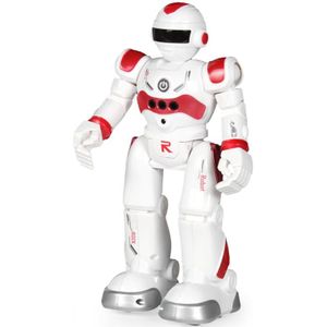2 Kleuren Baby Afstandsbediening Speelgoed Voor Kinderen Intelligente Programmeerbare Robot Met Infrarood Controller Speelgoed Voor Kinderen Beste Cadeau