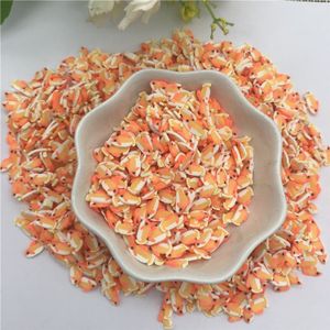 20G Vis Hars Voor Hars Diy Benodigdheden Nagels Art Polymer Clear Clay Accessoires Diy Pailletten Plakboek Shakes Craft