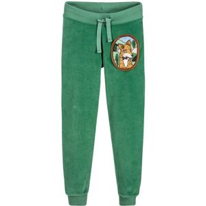 Kinderen Winter Broek voor Jongens Groene Vos Joggers Meisjes Broek Kinderen Trainingspak Broek Velours Fleece Baby Meisje Leggings