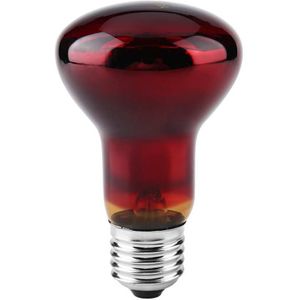 Reptiel Verwarming Terrestrial Reptiel Verwarming Verwarming Lamp Uva Infrarood