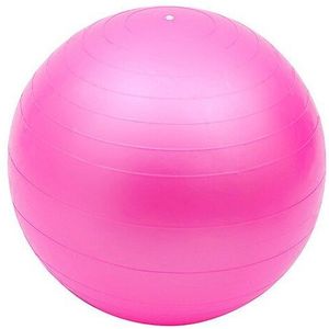 45 Cm Pvc Workout Fitness Bal Yoga Fit-Bal Oefening Ballen 5 Kleuren Pilates Bal Oefeningen Thuis Oefening T28 hoge Kwal