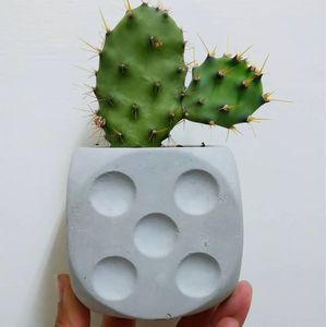 Diamond beton siliconen mallen Vele vormen Uil mallen voor cement cactus pot ambachten klei gips mold siliconen vormen