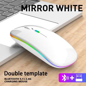 Draadloze Muis Bluetooth Muis Rgb Oplaadbare Stille Mause Ergonomische Gaming Muis Voor Laptop Pc Macbook 1600Dpi 2.4G Muis