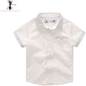 Kung Fu Mier Zomer Casual Korte Mouw Baby Shirt Turn-Down Kraag Katoen Jongens Shirt Soild witte School Shirts