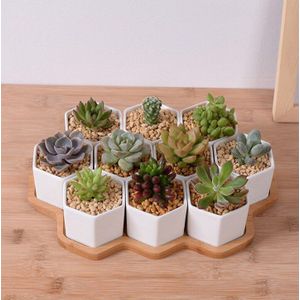 Set Van 4/7/9/10 Hexagon Bloempotten Witte Keramische Vetplant Pot Met Bamboe Stand Home Office Kerst Jaar Decoratie