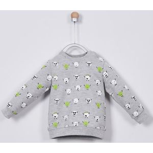 Pan�ço Baby & Kids Peuter Jongens Truien Sweatshirts Grey Lange Mouwen Kinderkleding
