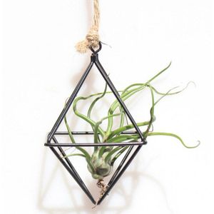 Vrijstaande Opknoping Plantenbakken Geometrische Swing Smeedijzeren Tillandsia Lucht Planten Houder Driehoekige Metalen Rek Zwart