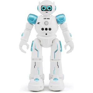 R11 Robot Rc Led Intelligente Walking Dansen Zingen Afstandsbediening Speelgoed Gesture Control Kids