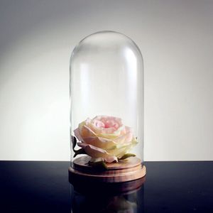 Bel Glas Schaduw Glas Dome Bell Jar Bloemen Cap Met Houten Base Home Decor Decoratie Vaas Cover Transparant Lege