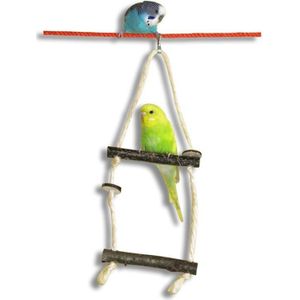 10Pcs Parrot Stand Staaf Natuurlijke Houten Vork Tak Baars Opknoping Swing Ladder Huisdier Vogel Speelgoed Met Roestvrijstalen Ringen kooi Decor