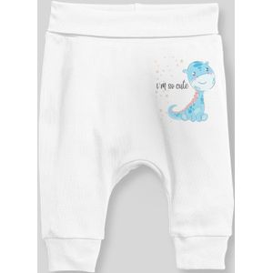 Angemiel Baby Zoete Dinosaurus Jongens Baby Harembroek Pantalon Wit