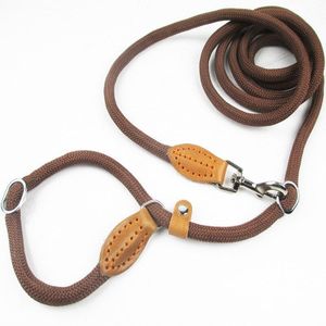 Multifunctionele Hond Aangelijnd P Keten Slip Halsband Pet Wandelen Leads Nylon Hond Touw Puppy Huisdier Tractie Voor Small Medium Large honden