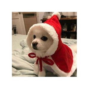 Verkoop Kerst Pet Hond Santa Hoed Mantel Cape Puppy Kleding Kostuum Outfit Xmas