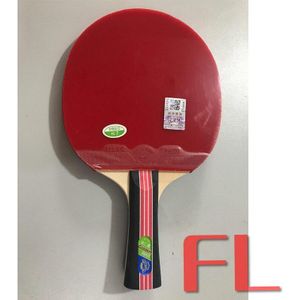 Vriendschap 729 Tafeltennis Racket (Golden 2-Ster, Met Case) paddle Met Rubber &amp; Bag Originele 729 Golden 2 Star Ping Pong Bat