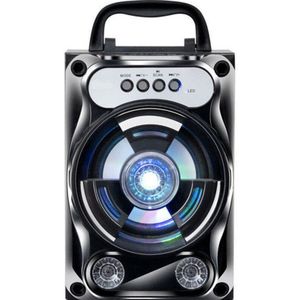 Draagbare Karaoke Speaker Draadloze Bluetooth Speaker Systeem Bass Subwoofer Microfoon Ondersteuning Handsfree/Usb/Tf Card/aux/Fm
