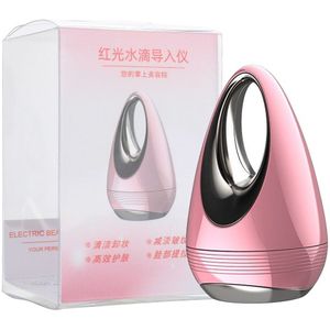 Facial Rood Licht Therapie Ion Introductie Instrument Gezicht Rimpel Remover Schoonheid Trillingen Huidverjonging Essentie Import Tool
