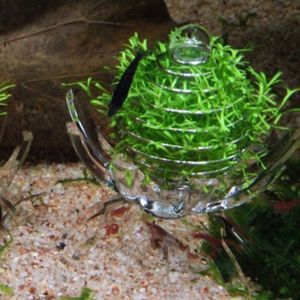 Aquarium Multifunctionele Spinazie Kooi Moss Bal Droog Spinachl Feeding Kom K4UA