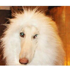 Leuke Pet Cosplay Kleding Transfiguratie Kostuum Leeuw Manen Winter Warm Pruik Kat Grote Hond Party Decoratie Met Oor Pet Apparel